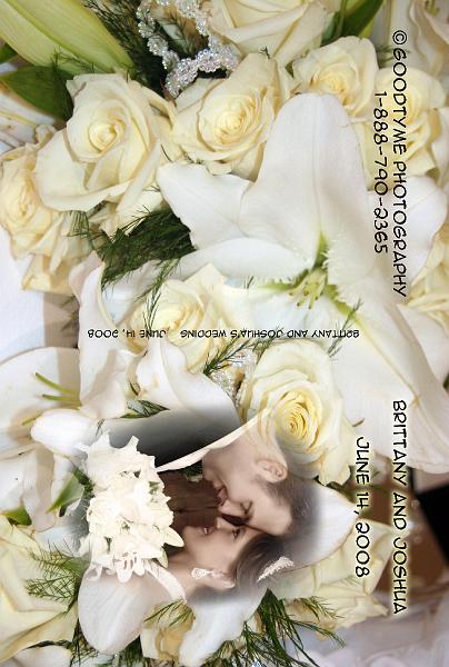 dvd cover.jpg